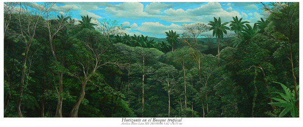 HORIZONTE EN EL BOSQUE TROPICAL MV200110106 ALTA